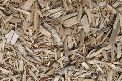 biomass boilers Bankglen